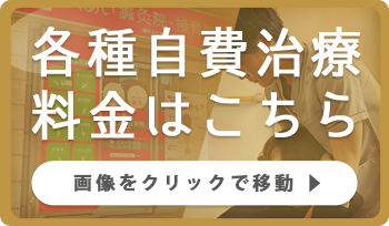 各種自費治療料金